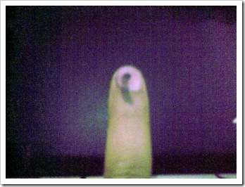 voting 2009